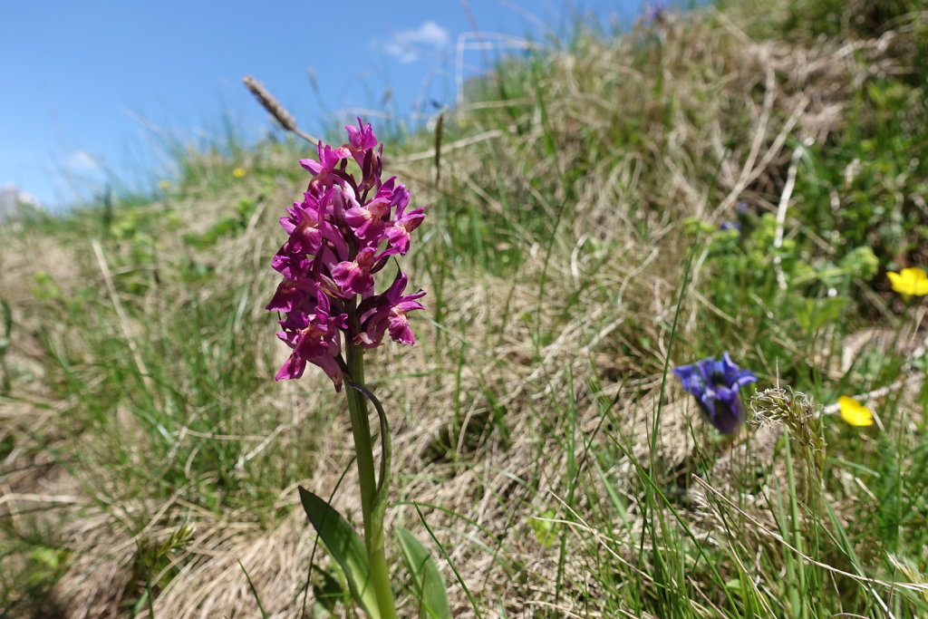 Lacs de Fenêtre (14.06.2021)