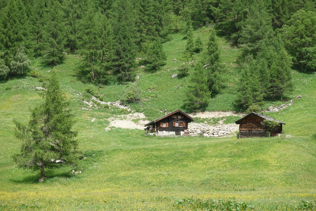 Cabane du Petit Mountet (19.06.2021)