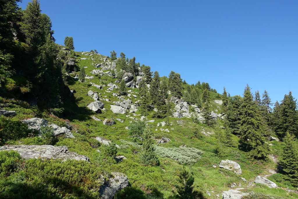 Cabane Brunet, Cabane de Mille (10.07.2021)