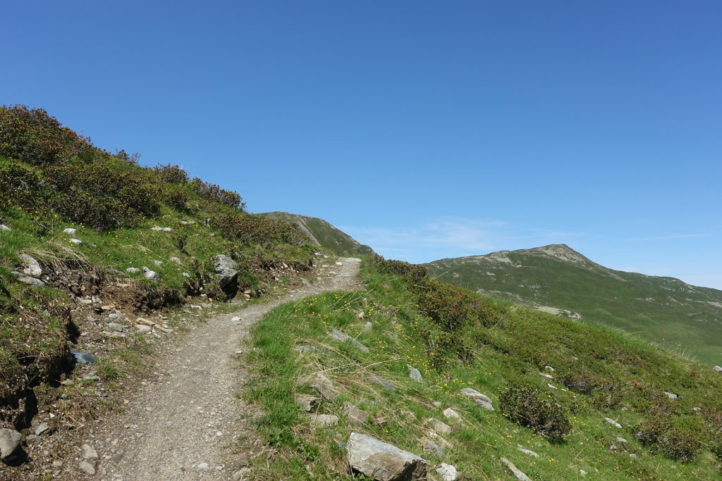 Cabane Brunet, Cabane de Mille (10.07.2021)