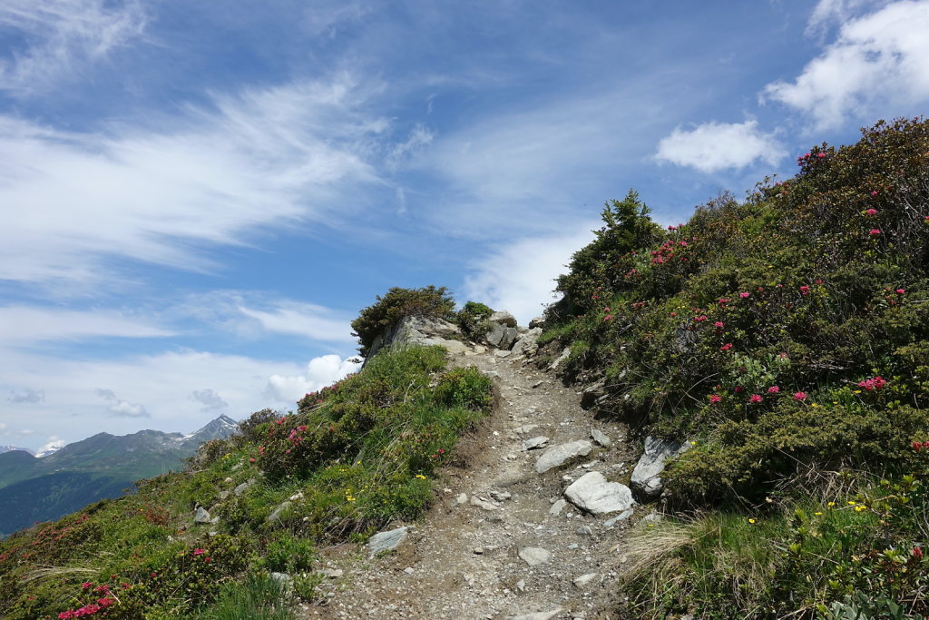 Cabane Brunet, Cabane de Mille (10.07.2021)