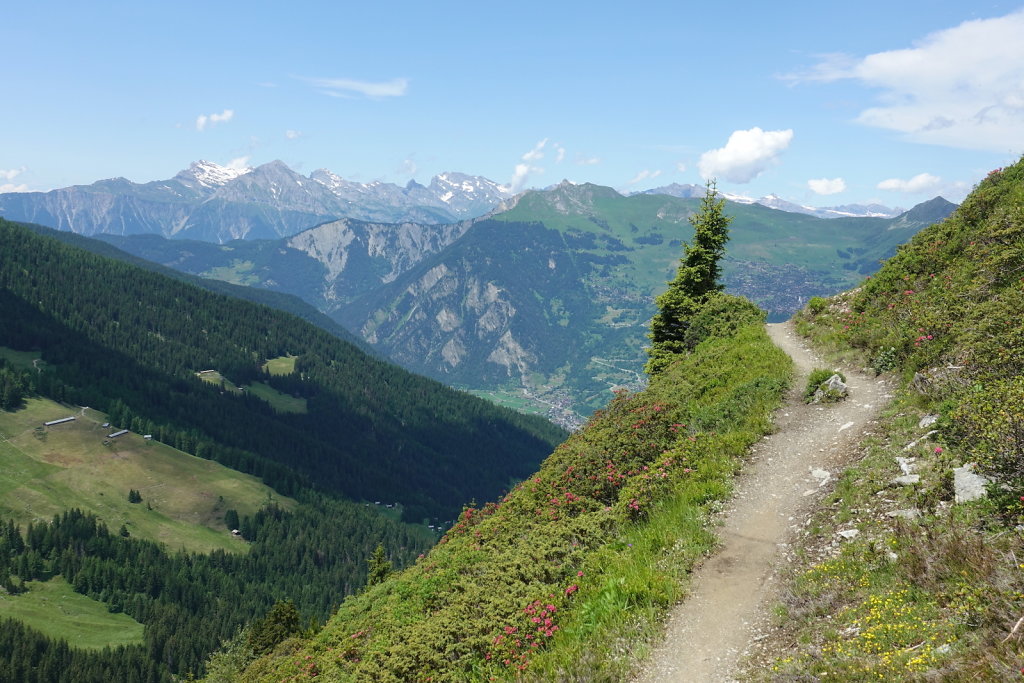 Cabane Brunet, Cabane de Mille (10.07.2021)