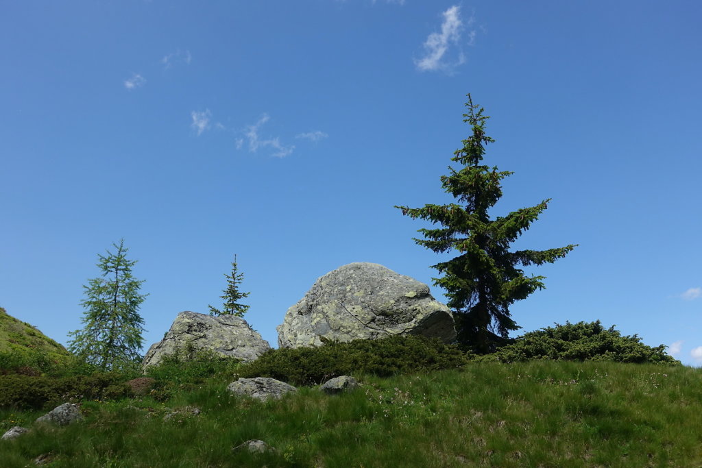 Cabane Brunet, Cabane de Mille (10.07.2021)