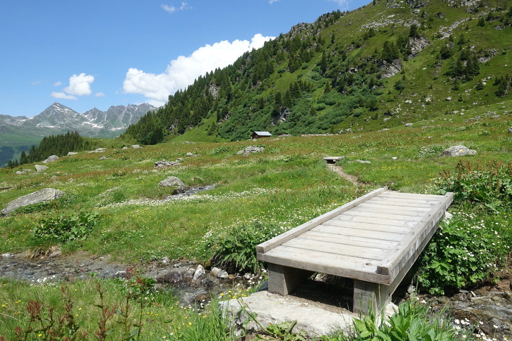 Cabane Brunet, Cabane de Mille (10.07.2021)