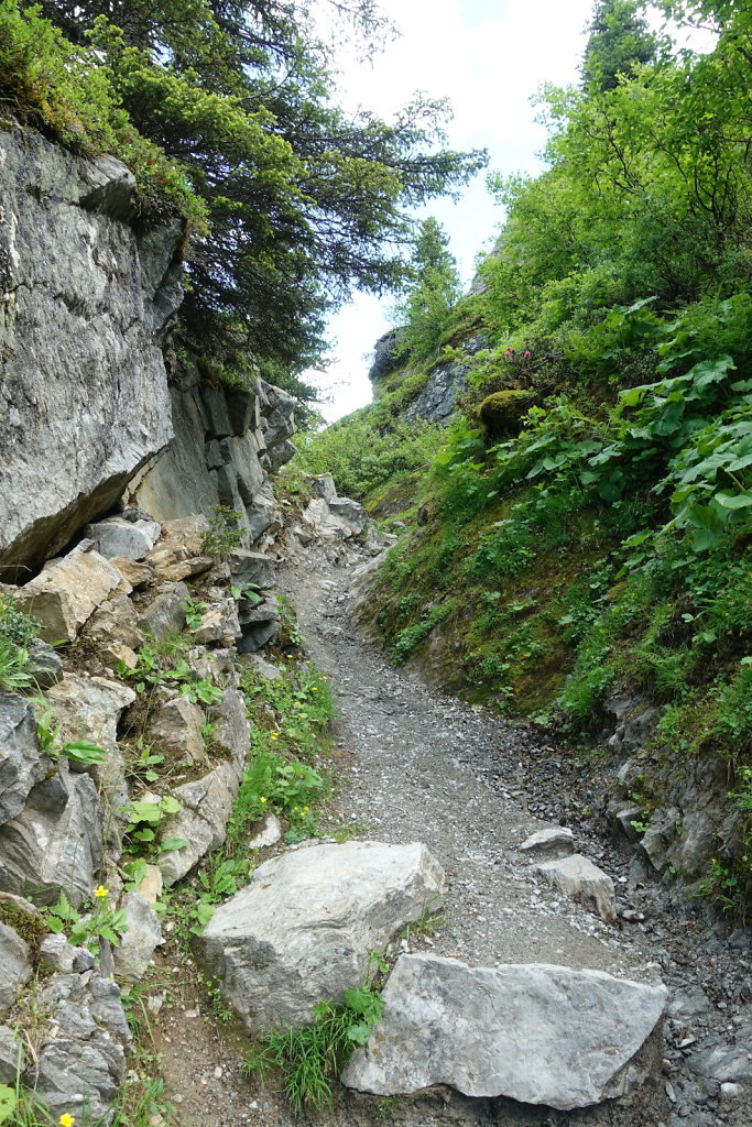 Cabane Brunet, Cabane de Mille (10.07.2021)