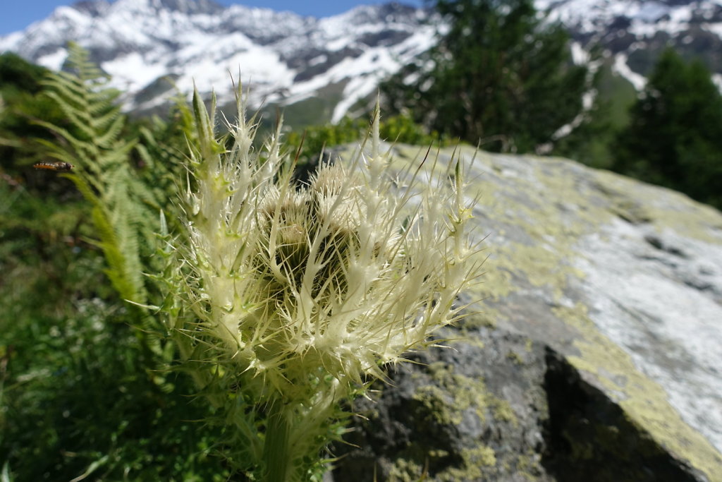 Anenhütte, Lötschental (18.07.2021)