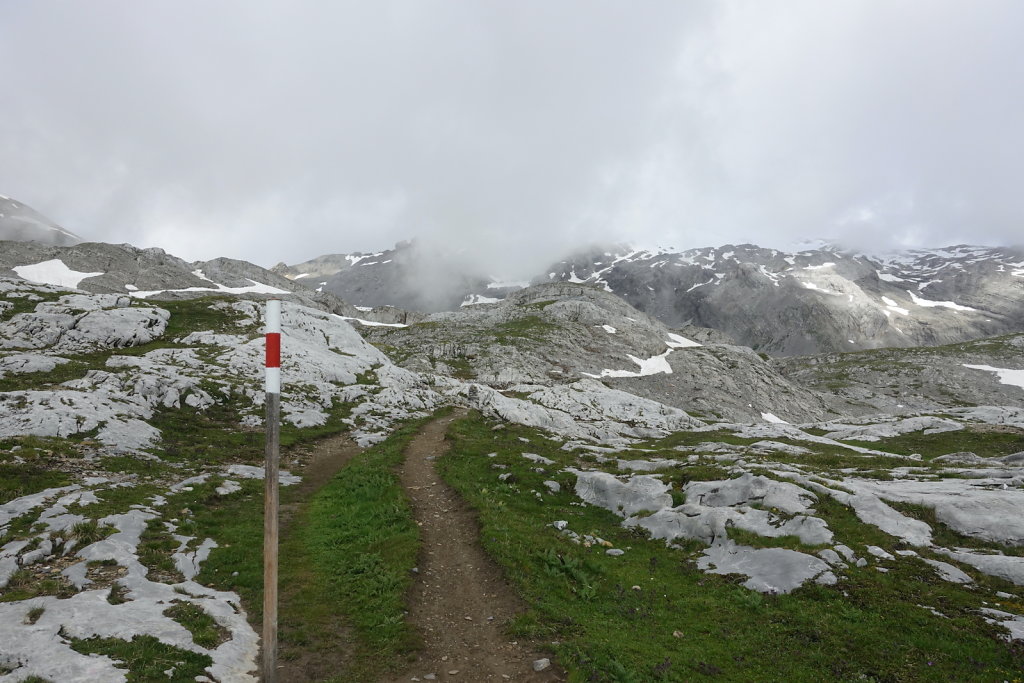 Cabane des Audannes (02.08.2021)