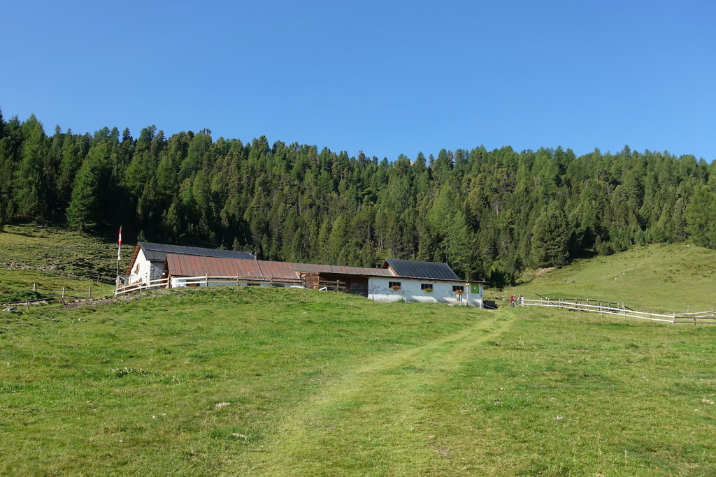 Mont la Schera, Parc National, Grisons (26.08.2021)