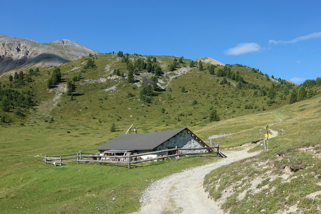 Mont la Schera, Parc National, Grisons (26.08.2021)