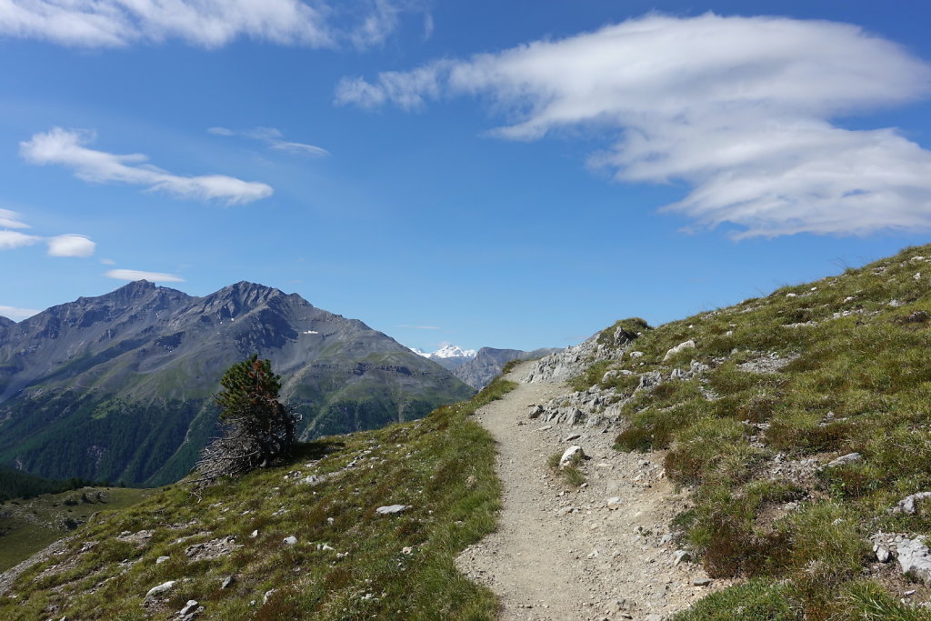 Mont la Schera, Parc National, Grisons (26.08.2021)