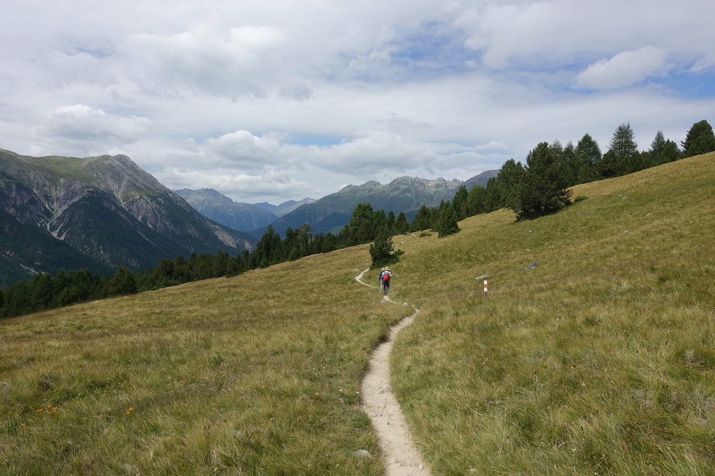 Mont la Schera, Parc National, Grisons (26.08.2021)