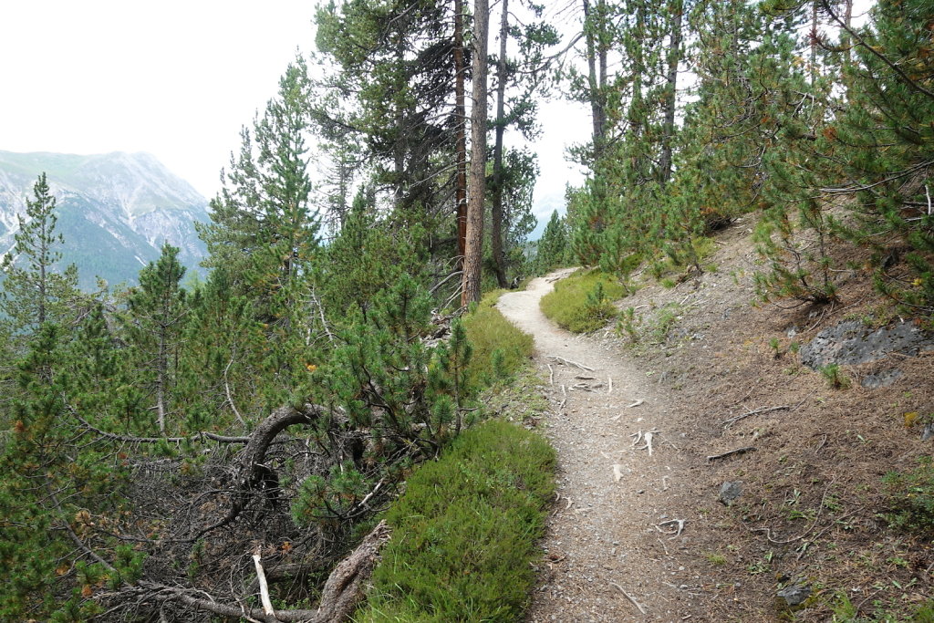 Mont la Schera, Parc National, Grisons (26.08.2021)