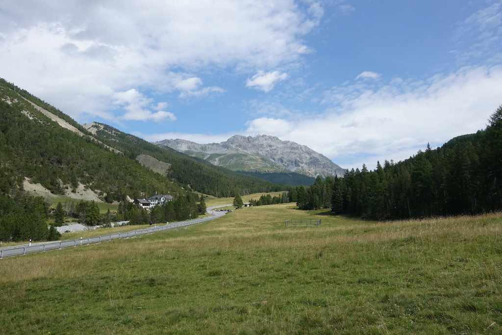 Mont la Schera, Parc National, Grisons (26.08.2021)
