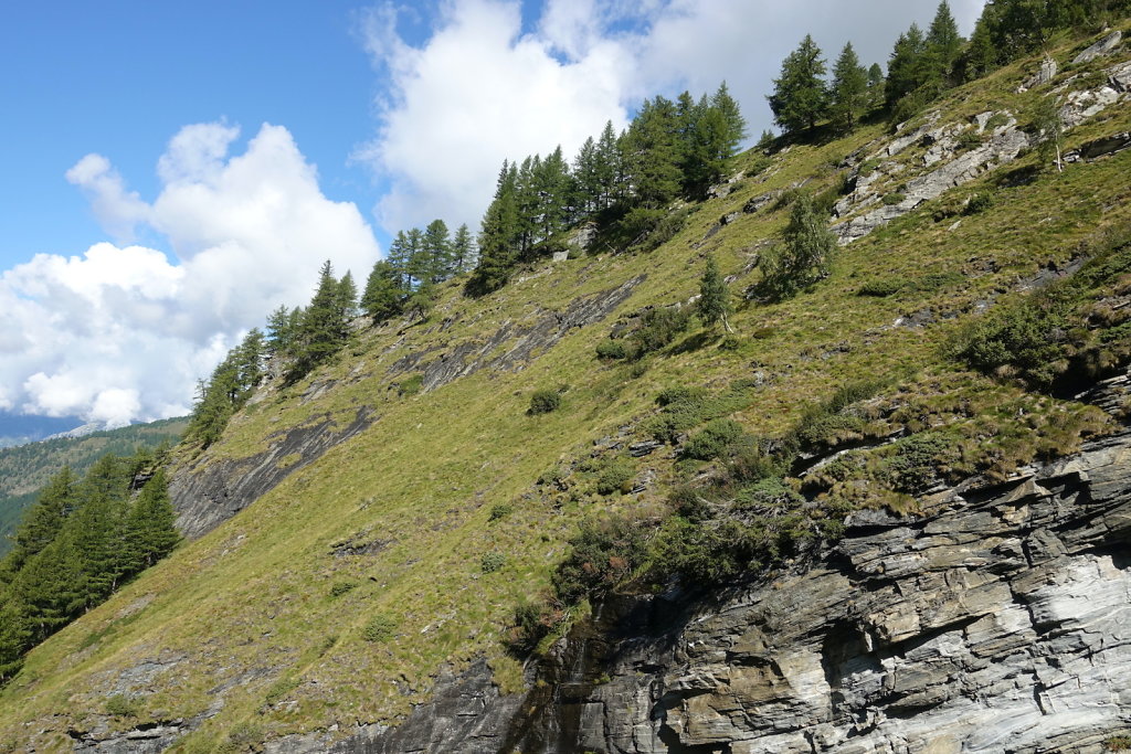 Bortelhütte (31.08.2021)