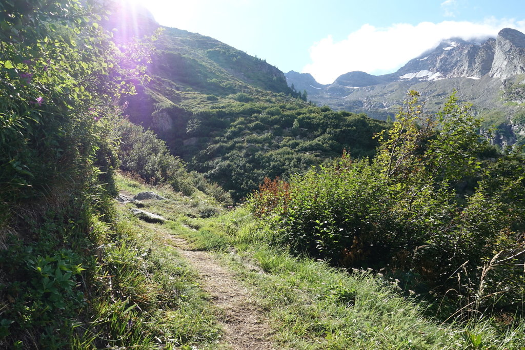 Bortelhütte (31.08.2021)