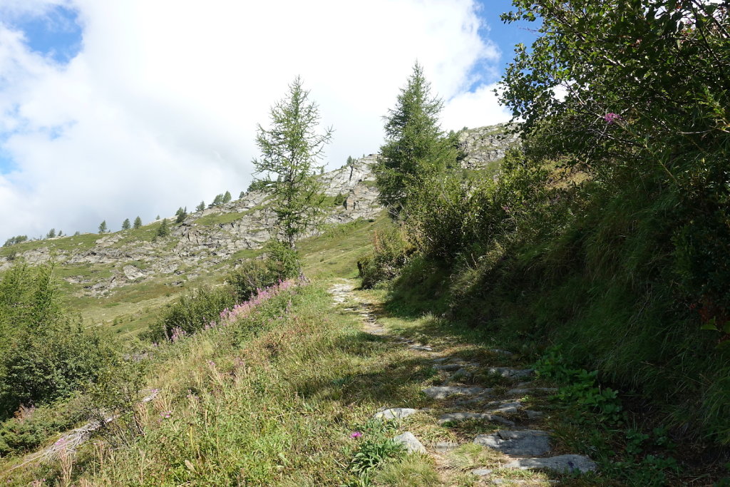 Bortelhütte (31.08.2021)