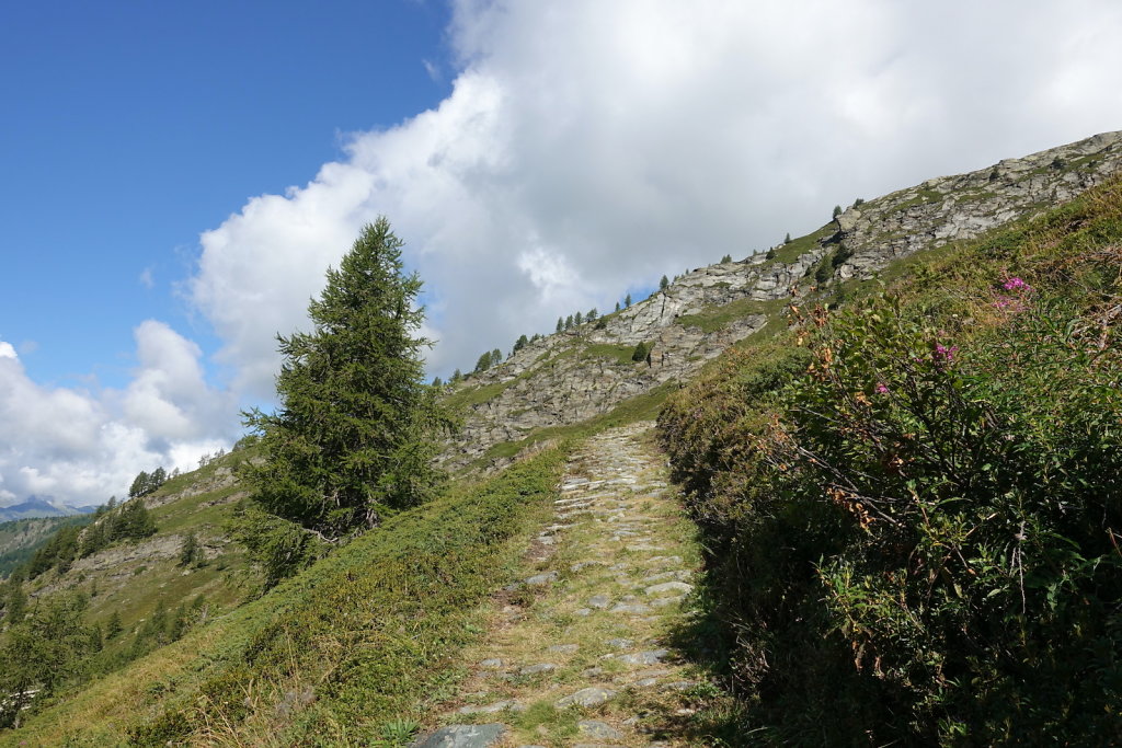 Bortelhütte (31.08.2021)