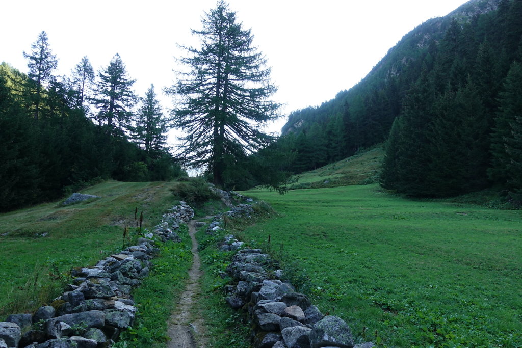 Binntalhütte (01.09.2021)