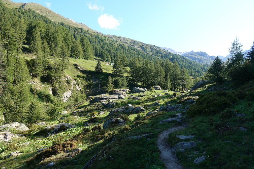 Binntalhütte (01.09.2021)