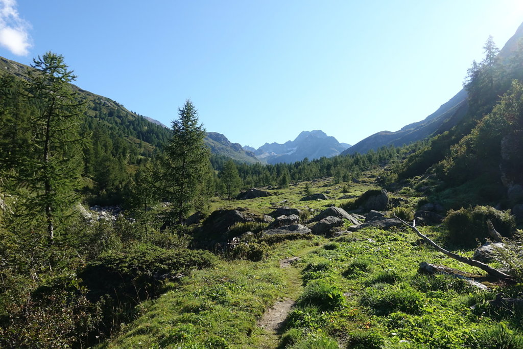 Binntalhütte (01.09.2021)