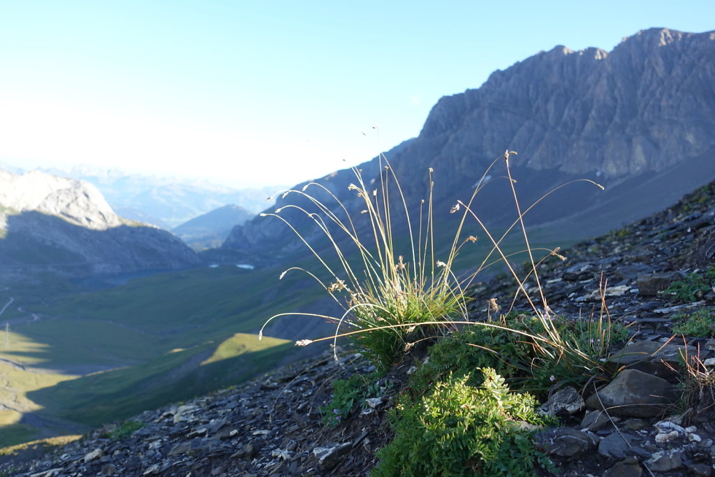 Arpelistock, col du Sanetsch (06.09.2021)