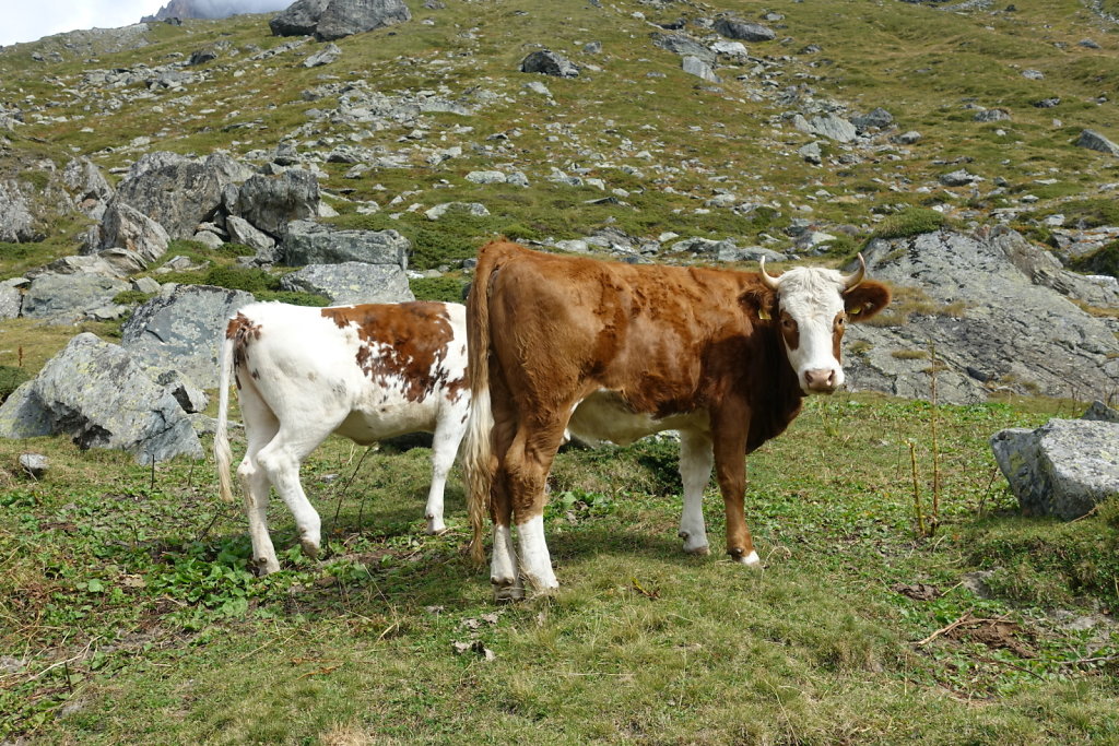 Cabane de Valsorey (07-08.09.2021)