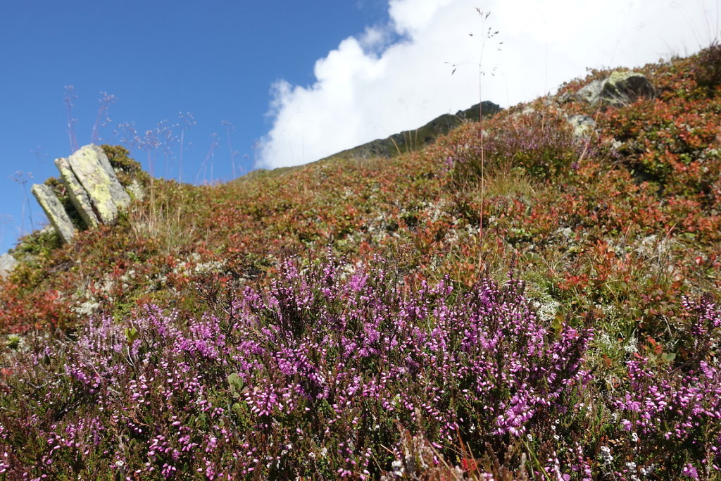 Refuge Albert 1er, Le Tour (11.09.2021)