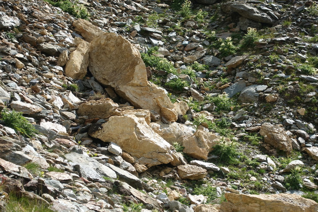 Blauseeli, Lötschental (13.09.2021)