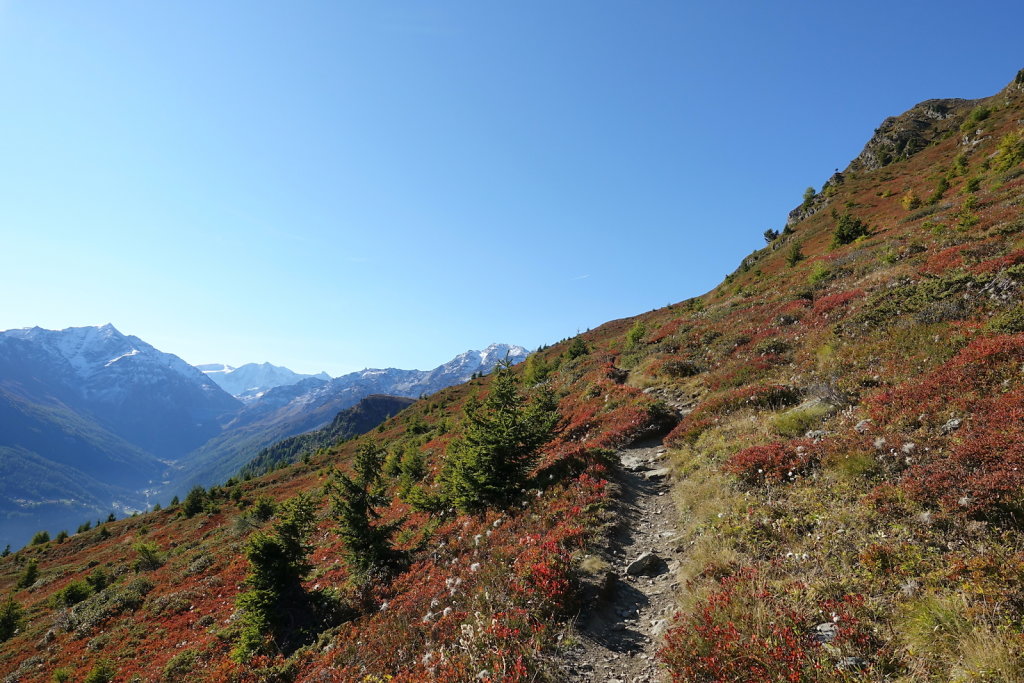 Chemin des crêtes, Thyon 2000, Mont Rouge, Mont Loéré, Crepon Blanc (11.10.2021)