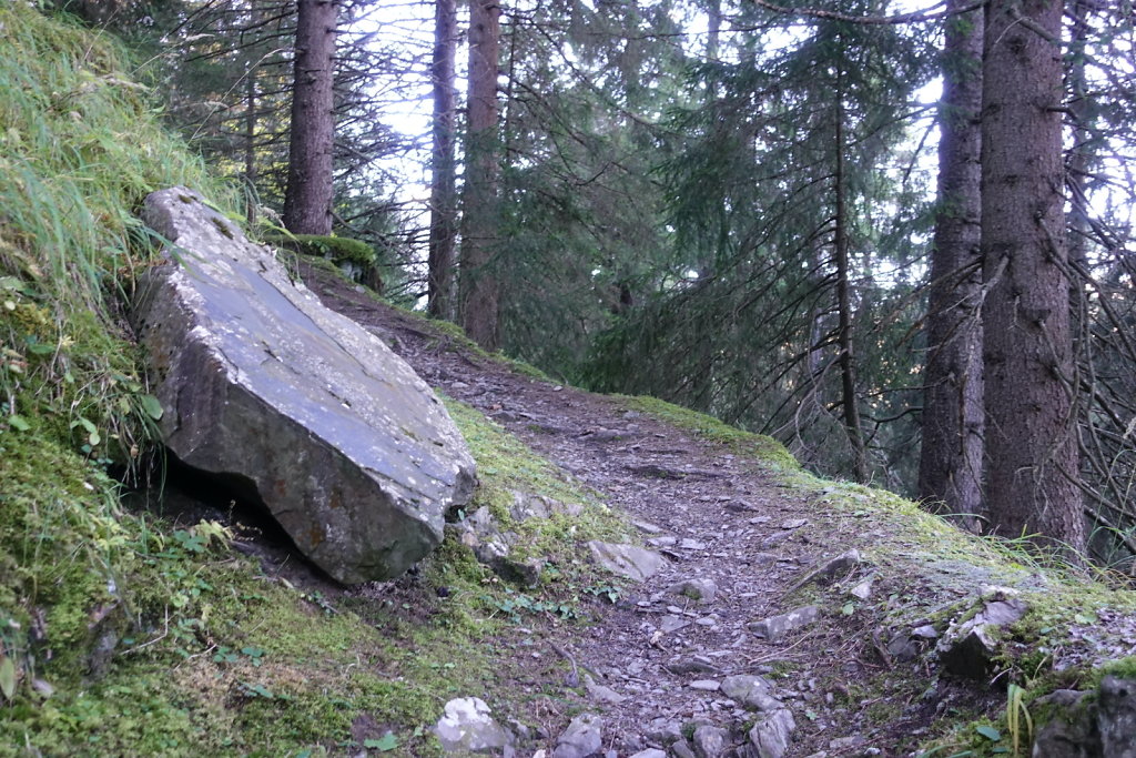 Signal de Bonavau, Grand-Paradis (16.10.2021)