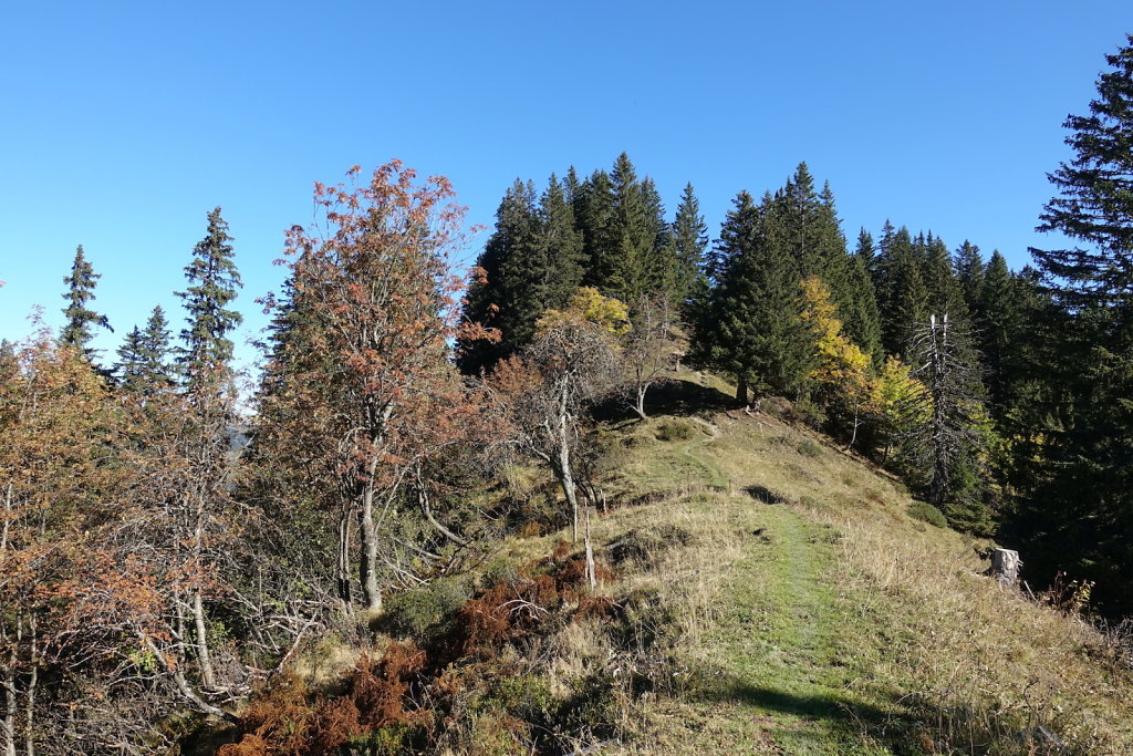 Signal de Bonavau, Grand-Paradis (16.10.2021)