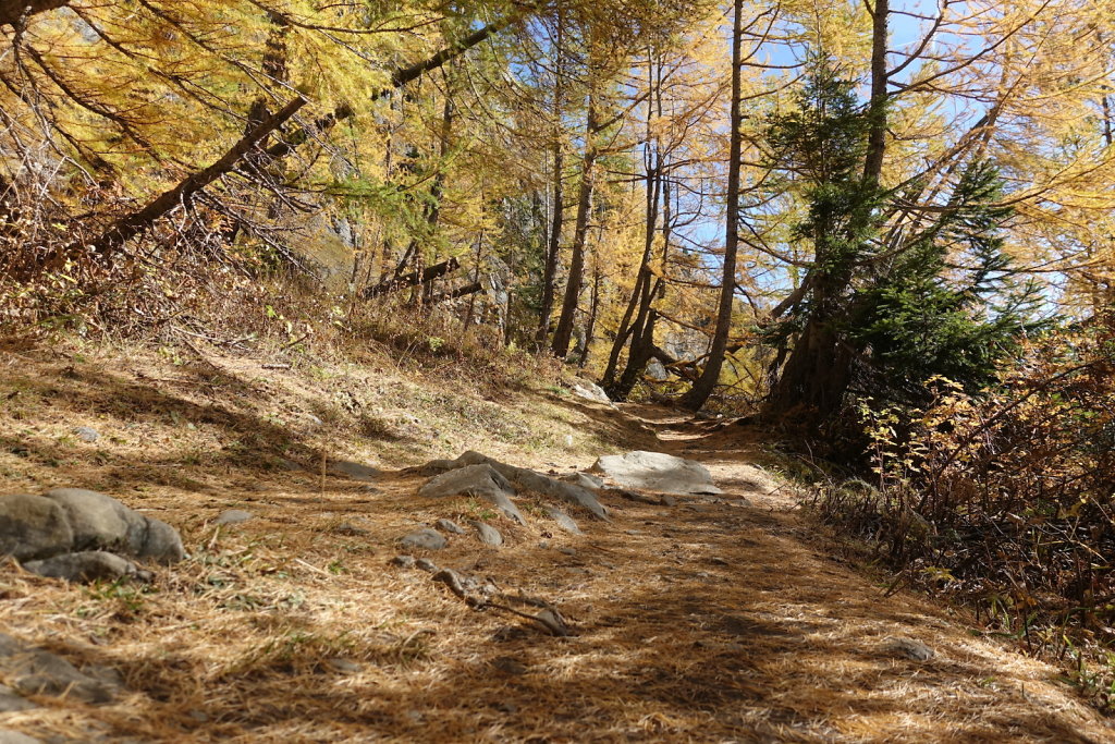 Barrage de Tseuzier (31.10.2021)