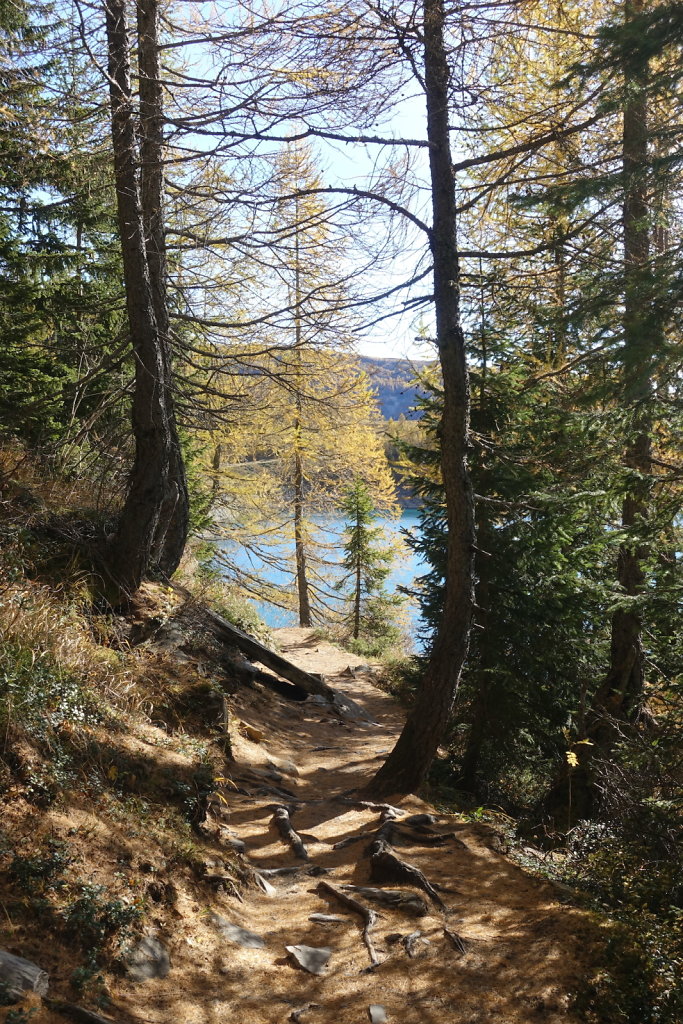 Barrage de Tseuzier (31.10.2021)