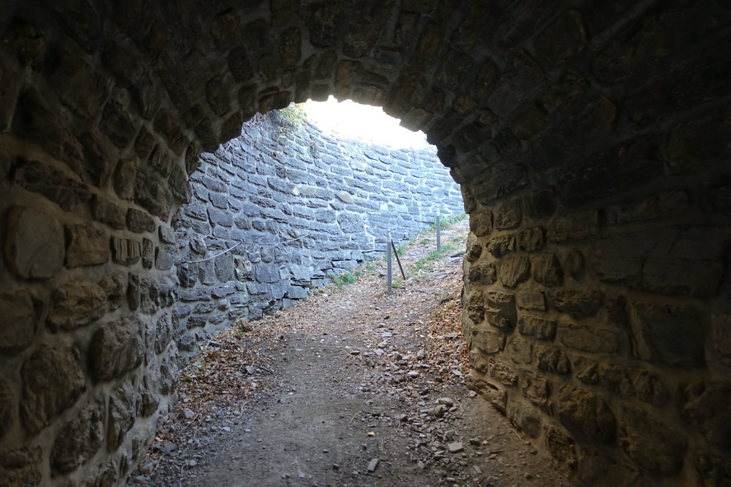 Rampe sud du Lötschberg (06.11.2021)