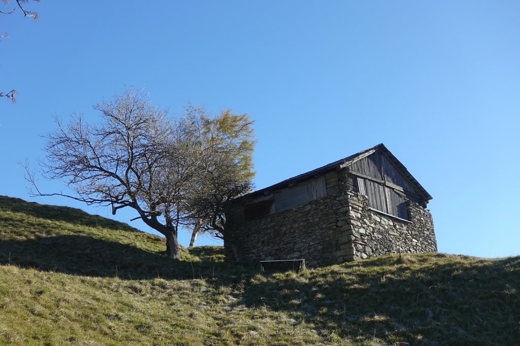 Rampe sud du Lötschberg (06.11.2021)