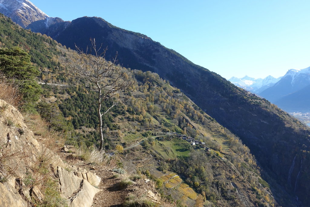 Rampe sud du Lötschberg (06.11.2021)