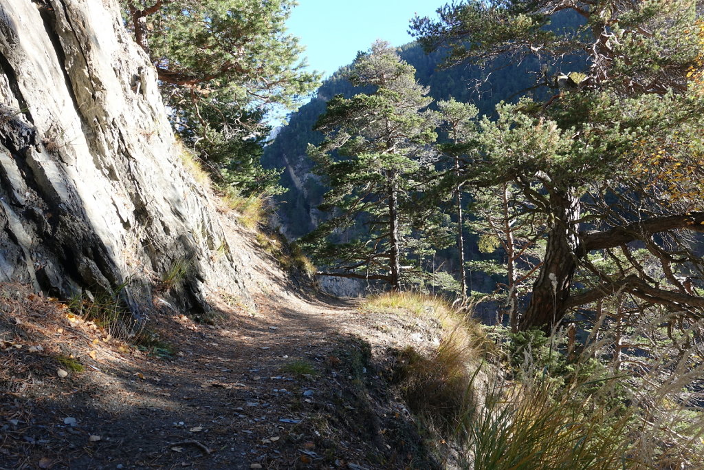 Rampe sud du Lötschberg (06.11.2021)