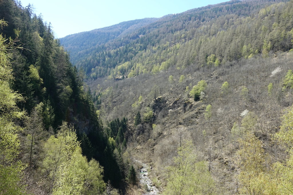 Ergisch - Ärgischer Wasserleitu - Bärensteg - Fätschi - Ergisch (18.04.2022)