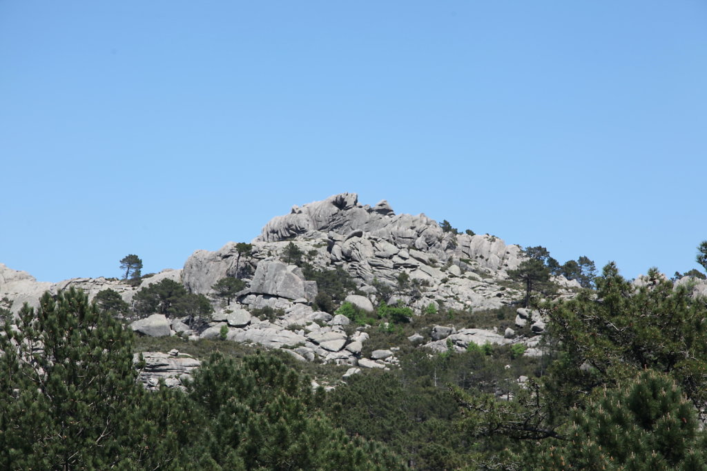 Corse (2022)