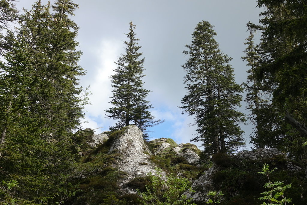 Col de la Croix, Tête de Meilleret, Lac des Chavonnes, Lac de Bretaye (29.05.2022)