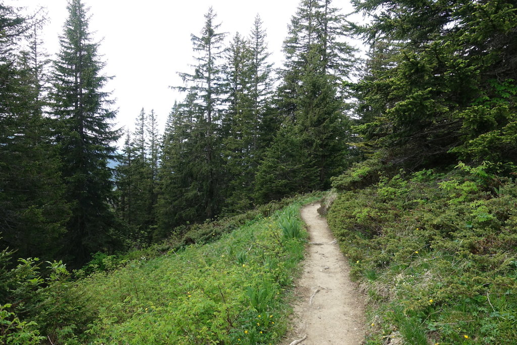 Col de la Croix, Tête de Meilleret, Lac des Chavonnes, Lac de Bretaye (29.05.2022)