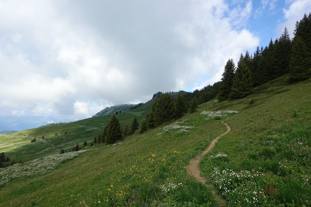 Col de la Croix, Tête de Meilleret, Lac des Chavonnes, Lac de Bretaye (29.05.2022)