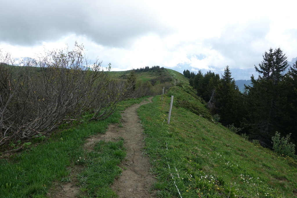 Col de la Croix, Tête de Meilleret, Lac des Chavonnes, Lac de Bretaye (29.05.2022)