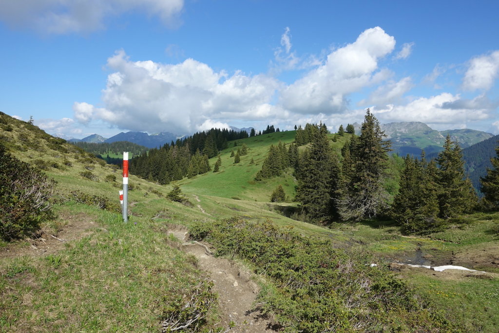 Col de la Croix, Tête de Meilleret, Lac des Chavonnes, Lac de Bretaye (29.05.2022)