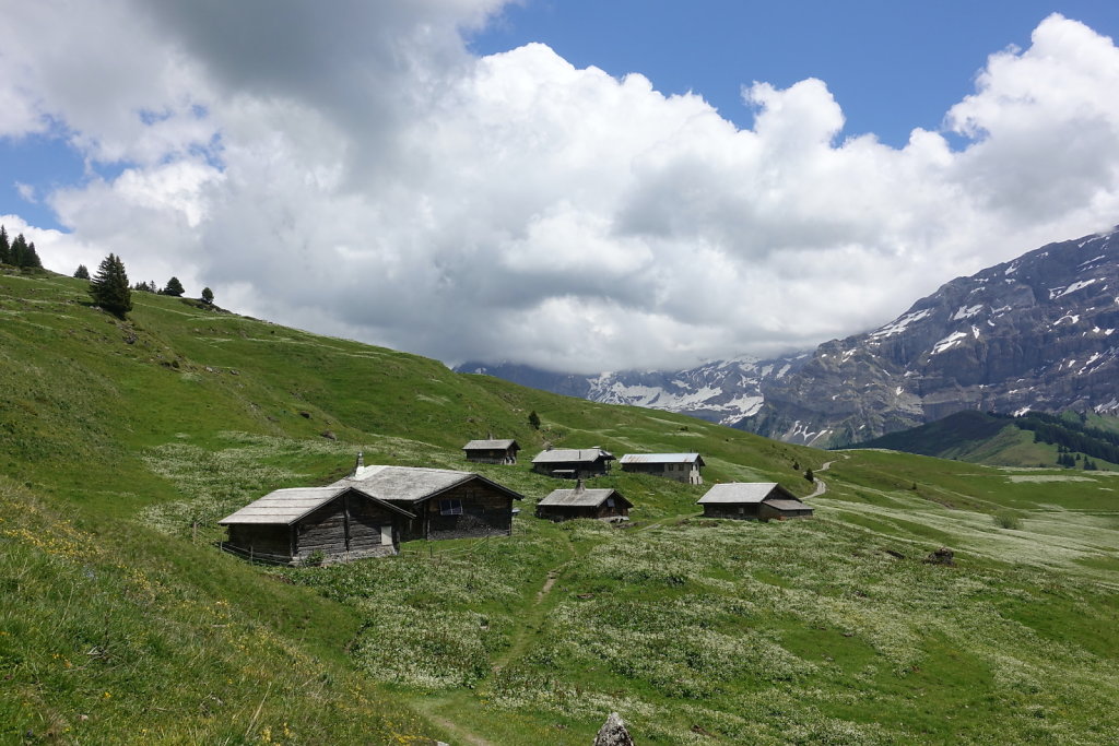 Col de la Croix, Tête de Meilleret, Lac des Chavonnes, Lac de Bretaye (29.05.2022)