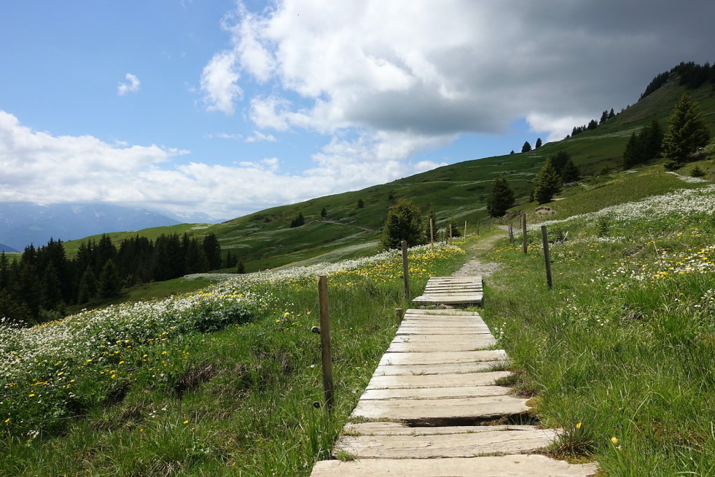 Col de la Croix, Tête de Meilleret, Lac des Chavonnes, Lac de Bretaye (29.05.2022)