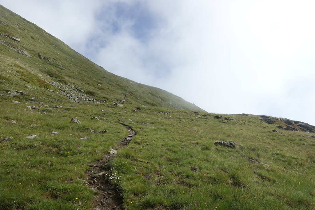 Moosalp, Augstbordhorn (29.06.2022)