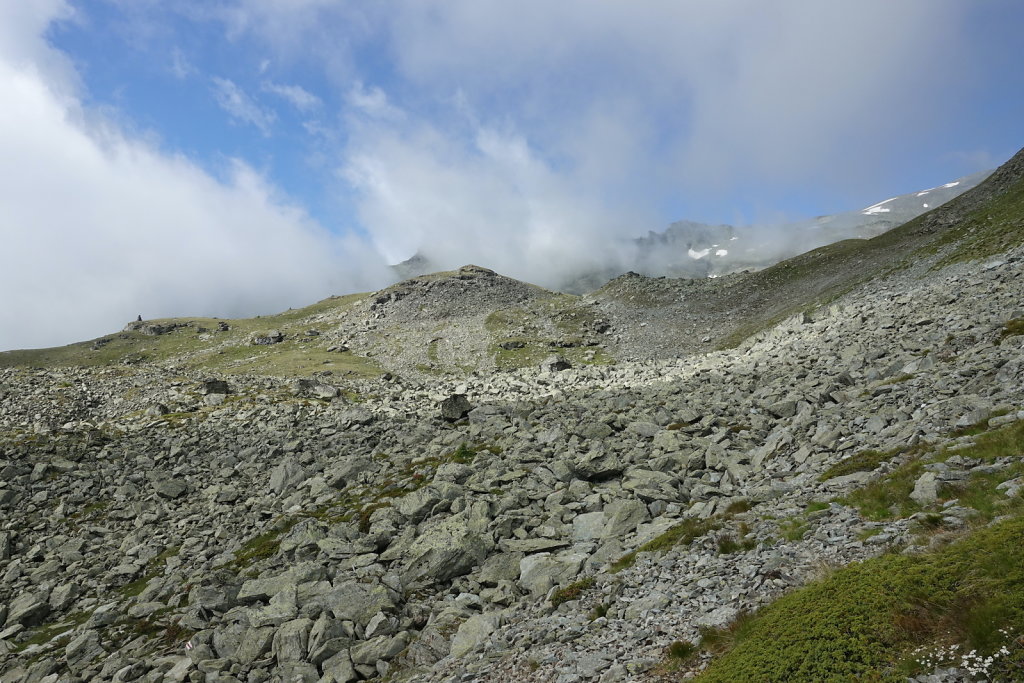 Moosalp, Augstbordhorn (29.06.2022)