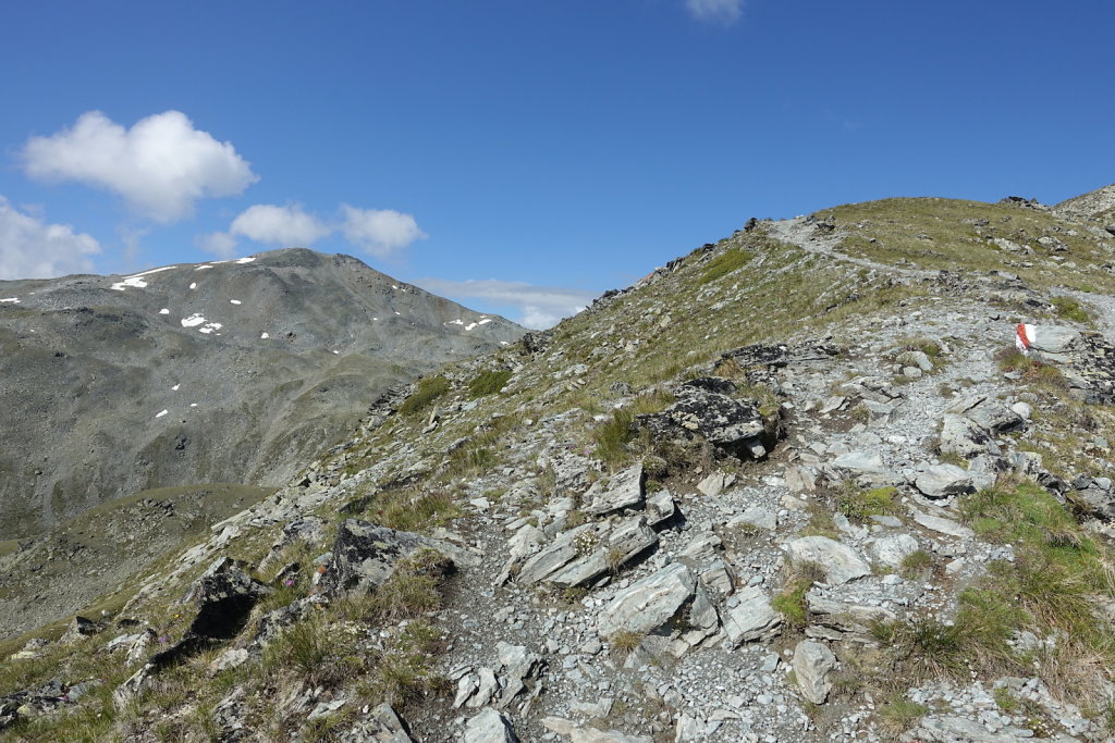 Moosalp, Augstbordhorn (29.06.2022)