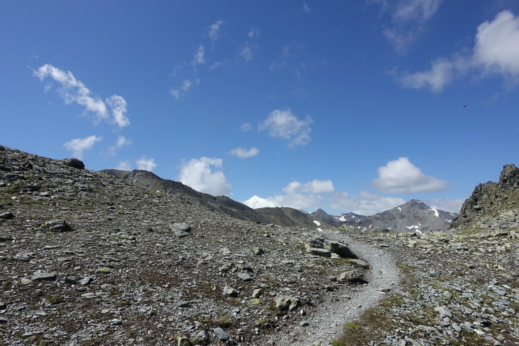 Moosalp, Augstbordhorn (29.06.2022)